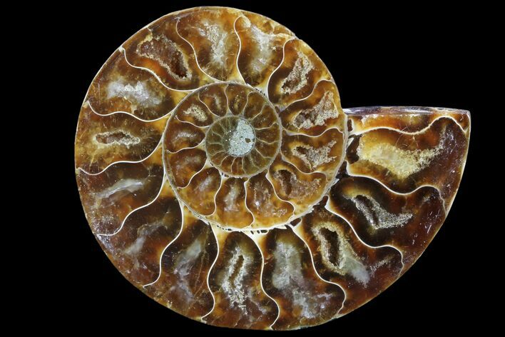 Agatized Ammonite Fossil (Half) - Madagascar #83830